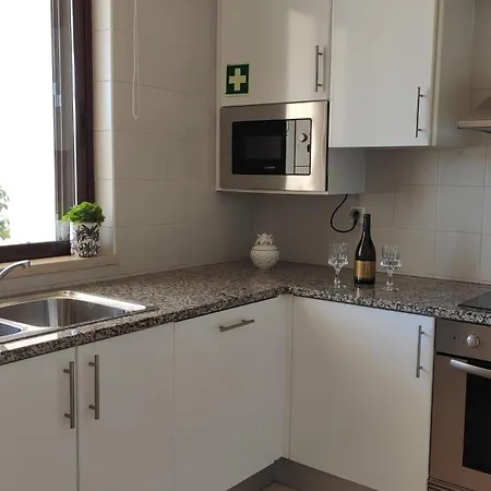 Palm House * 알보르