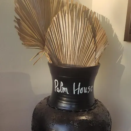 بيت للعطل Palm House